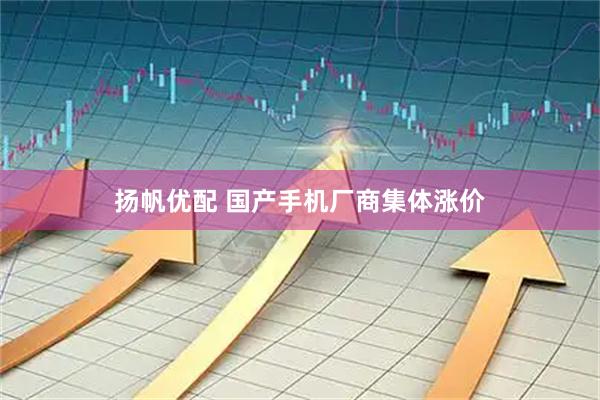 扬帆优配 国产手机厂商集体涨价