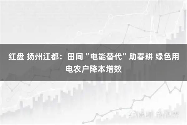 红盘 扬州江都：田间“电能替代”助春耕 绿色用电农户降本增效